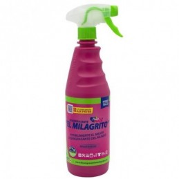 DESENGRASANTE SPRAY EL...